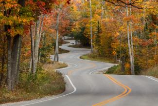 Road winding through fall foliage